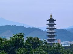 -风云岭森林公园