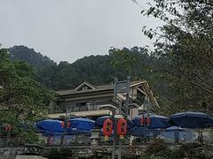 -老幺泉水鸡