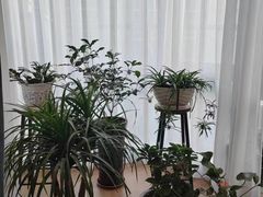 -逸栈养生SPA(望京店)