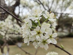 -元大都城垣遗址公园