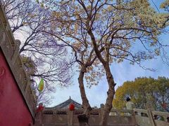 -穹窿山景区