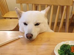 -柴の食堂·日式家庭料理·熊之肆(大学路店)