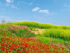 -光明小镇欢乐田园
