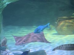 -沈阳海洋探索中心