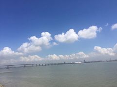 -大湾区中央湿地公园