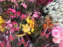 -循礼门鲜花花市(武汉循礼门店)