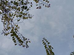 -西南民族大学南区(双流校区)