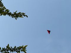-府河摄影公园