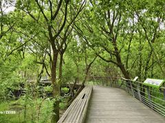 -西湖风景区-江洋畈生态公园