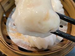 添运来虾饺皇-添运来(茶园奥园广场店)