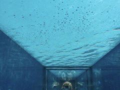 -亚特兰蒂斯水世界冒险乐园
