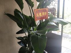 -鹭岛新泉客家菜·海鲜·融合菜(莲前店)
