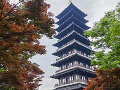 -宜兴龙背山森林公园
