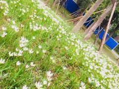 -白鹭湾湿地公园