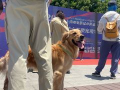 -南翔镇银翔湖公园