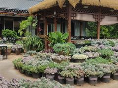 -山菌美食苑(振兴路店)