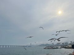 -星海广场