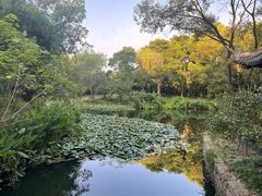 -西溪国家湿地公园