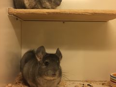 -龙猫仔乐园(惠福东路店)