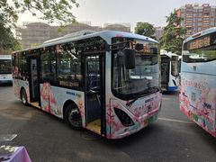 -高东镇樱花园