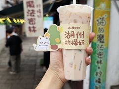 -猫的魔法密林(衣裳街店)