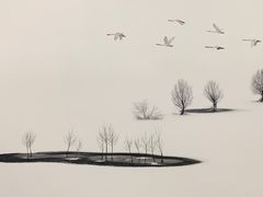 -罗红摄影艺术馆