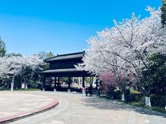 -淹城春秋乐园