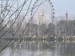 -洋湖国家湿地公园