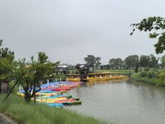 -嘉北郊野公园