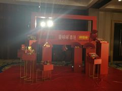 -常州环球恐龙城维景国际大酒店