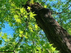-玉渡山自然风景区