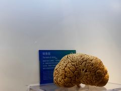 -生命奥秘博物馆