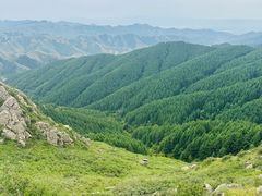 -苏木山森林公园