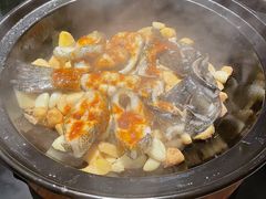 姜豉汁焗龙鼠斑-炳胜品味(海印总店)