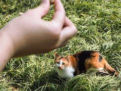 -西安大兴善寺
