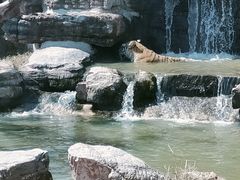 -上海野生动物园