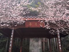 -杭州植物园