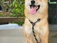 -FUNFUN有饭花园聚会餐厅