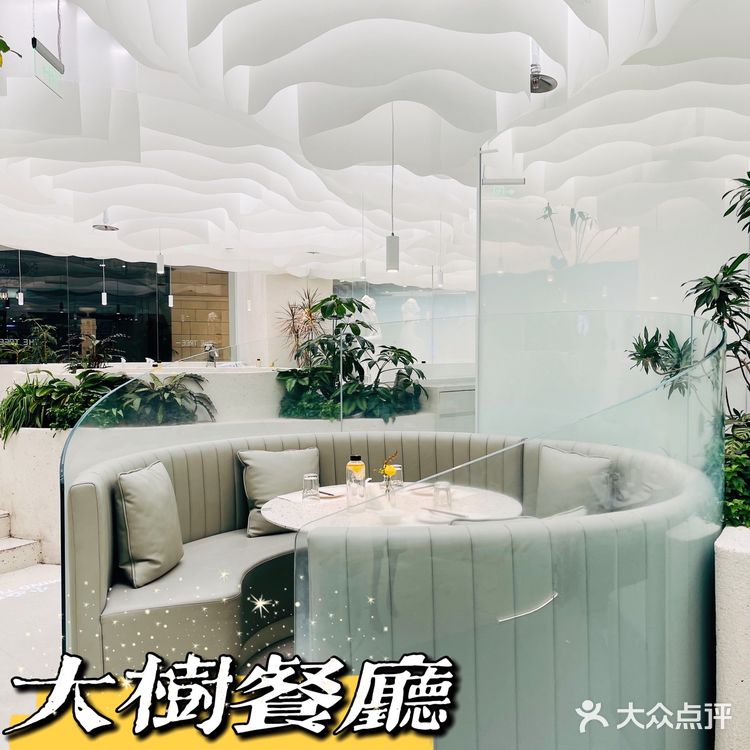 🌳二刷大树餐厅👭家人一起相聚超开心🥳