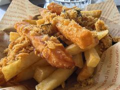 -Hi City·城市之巅