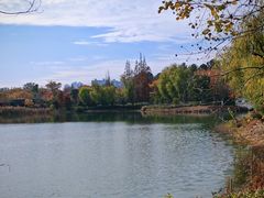 -昆山城市生态森林公园