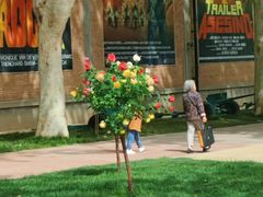 -西安电影制片厂