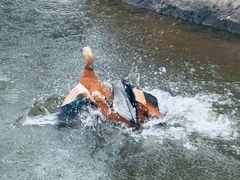 -泉州海丝野生动物世界