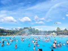 -美的鹭湖探索王国