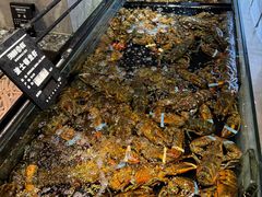 -海鲜e族(马王堆店)