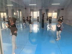 -西安小天鹅艺术团(曲江Alice店)