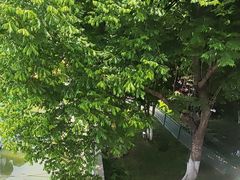 -东水关遗址公园