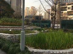 -活水公园