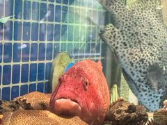 -新荣记(西溪湿地店)