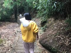 -玉苍山国家森林公园